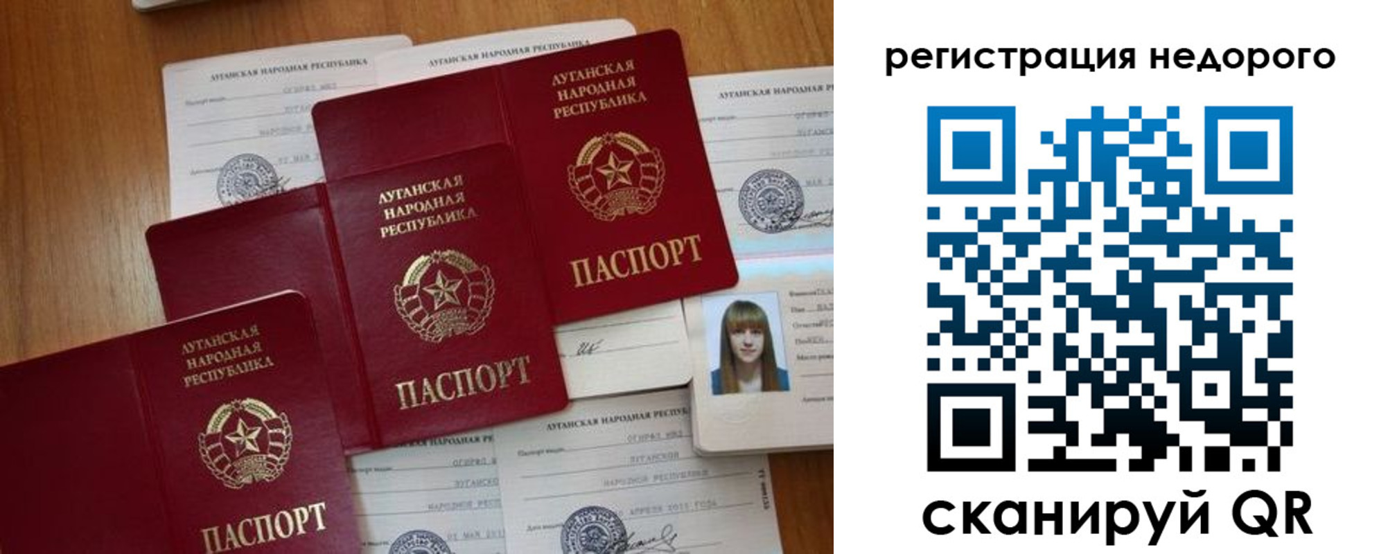 где прописаться в Коле
